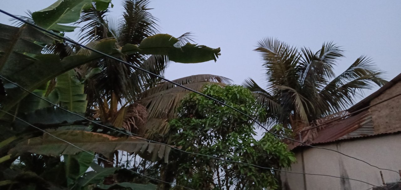IMG20210427181620.jpg