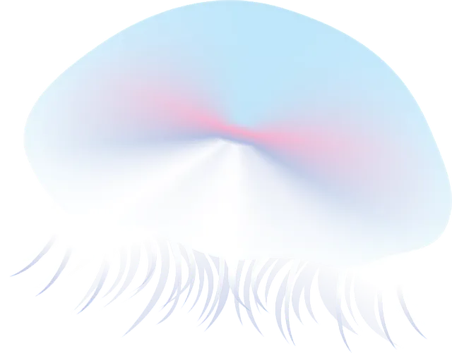 fish-1332201_640.webp