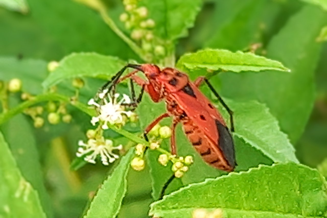 20250725_071241~2.jpg