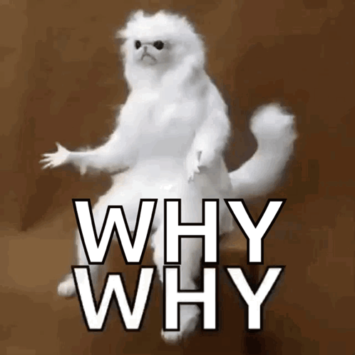 untitled.gif