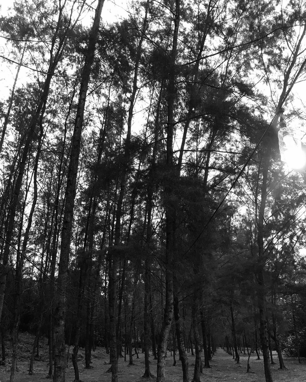 8F3CB41028AF4211B2EDAF2D458356A7.jpeg
