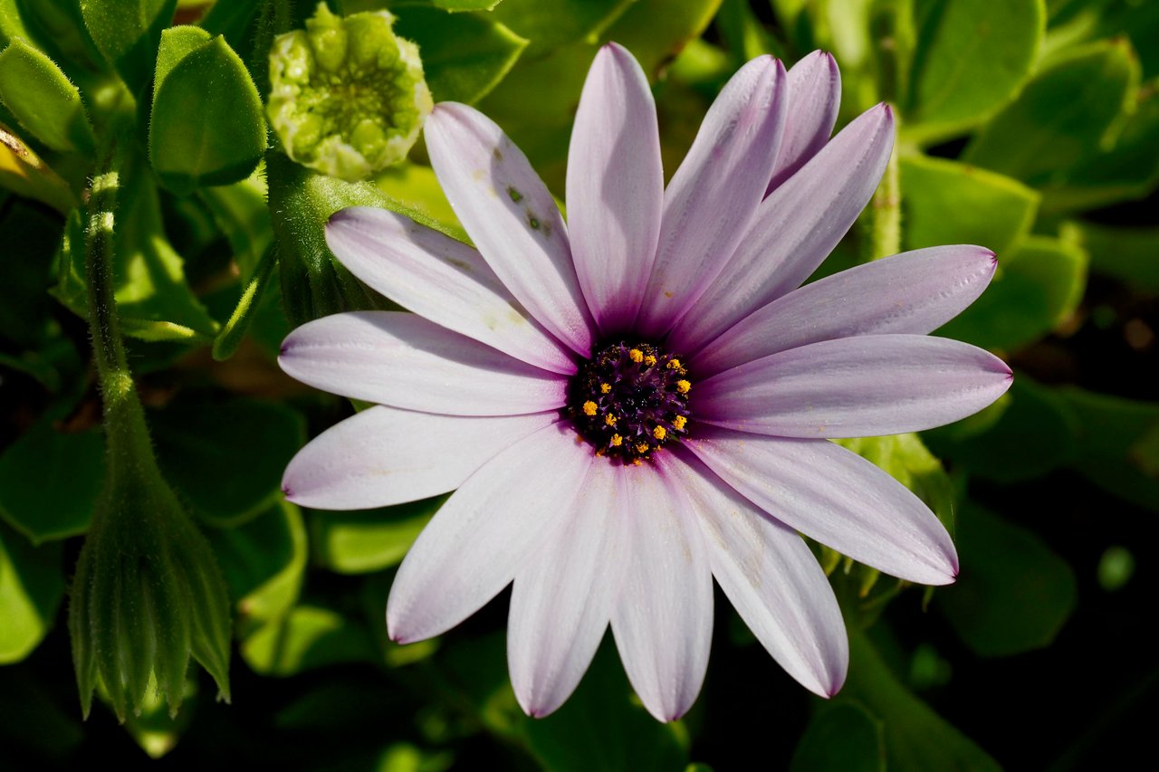 Spring_3