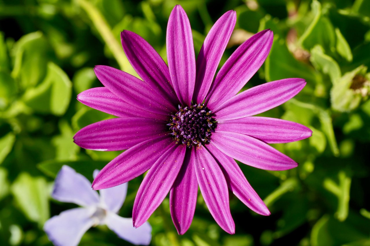Spring_2