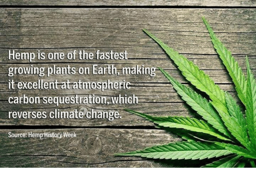 hemp reverses climate change.png