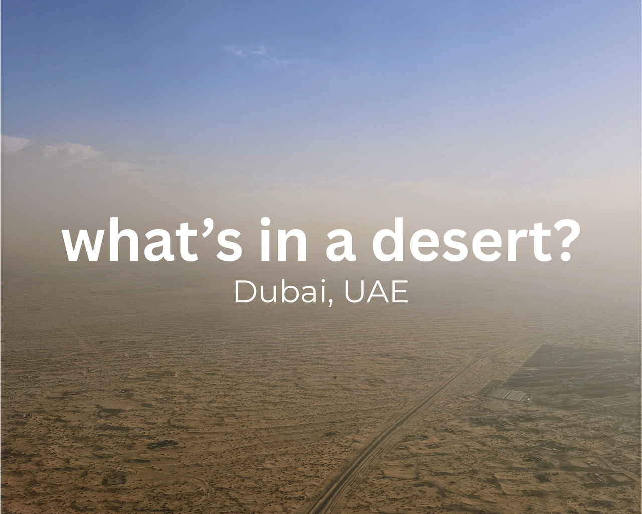 what’s in a desert.png