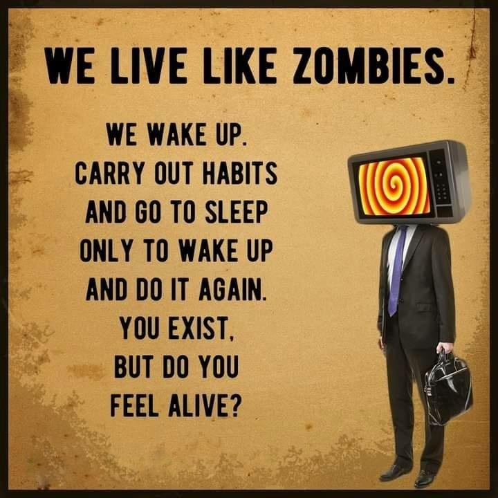 Zombies-Qb9i6o0.jpg