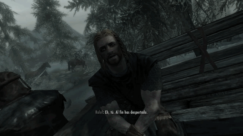 Skyrim GIF 1.gif