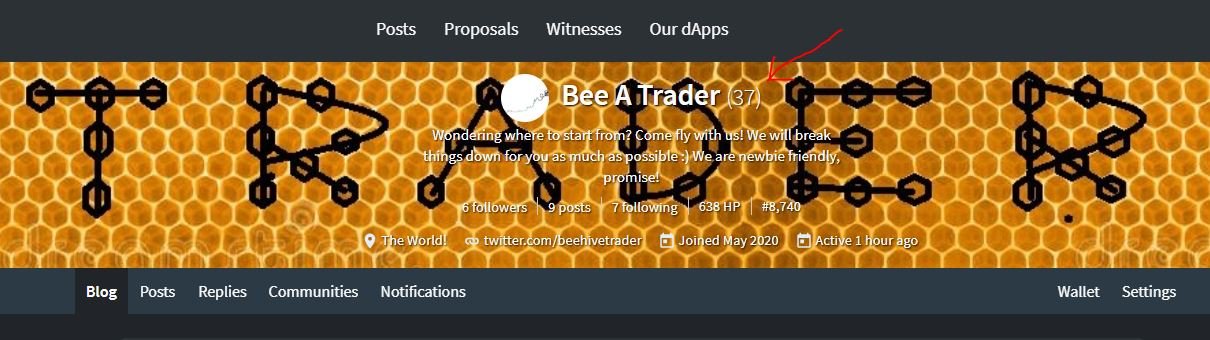 hive12.5.JPG