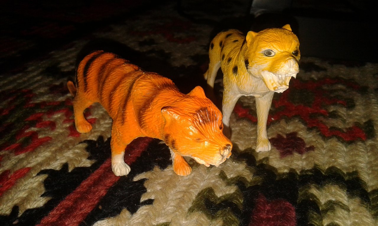20200502_201704.jpg