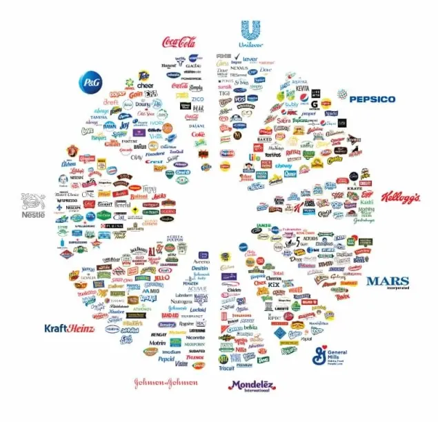 Blackrock and Vanguard own everything in the grocery store