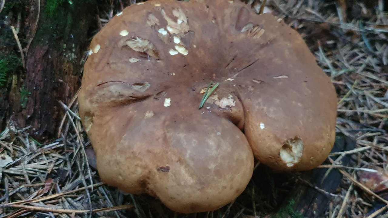 20230716_164551.jpg