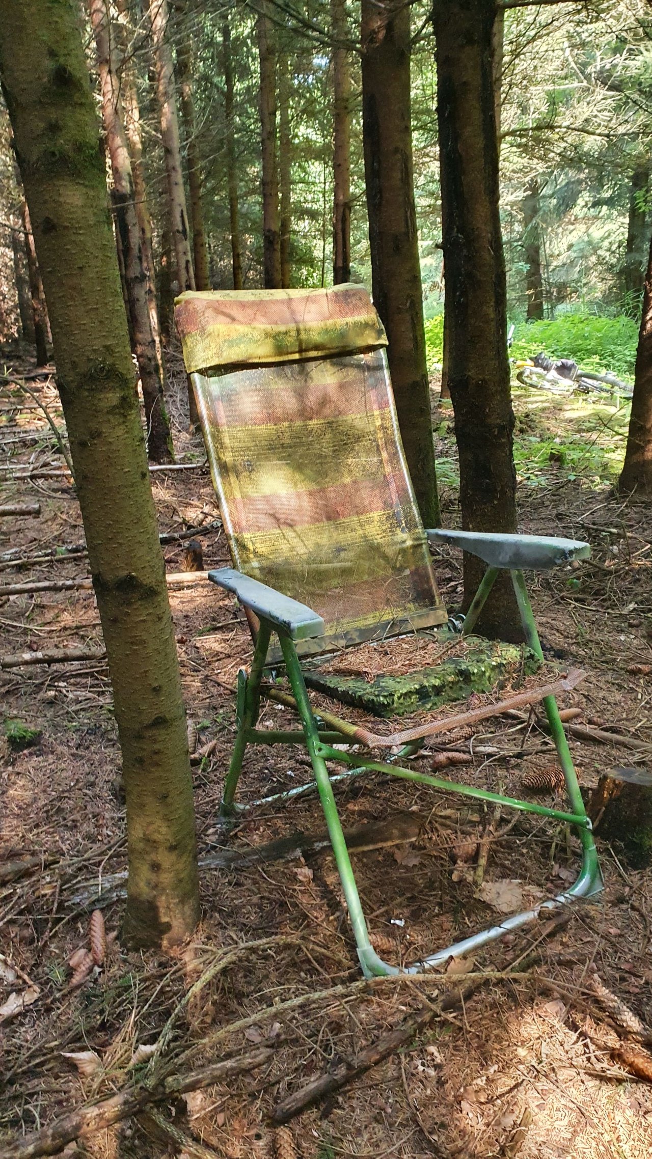 20230716_165007.jpg