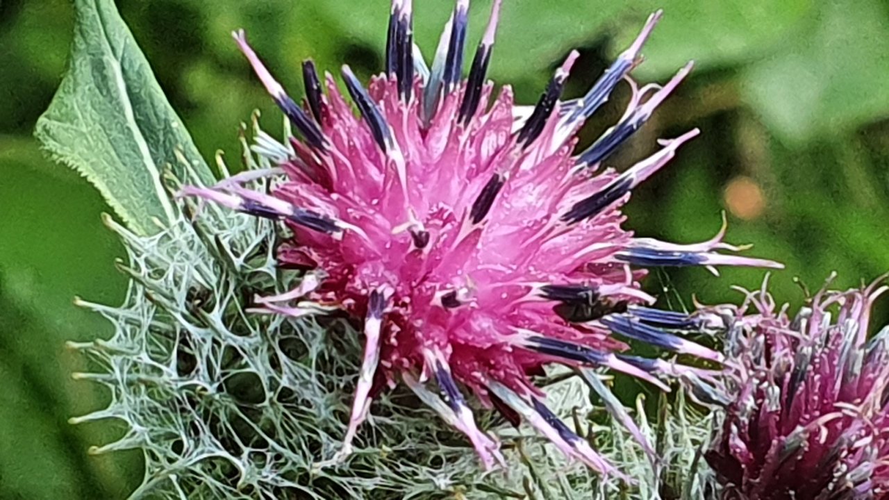 20230716_164235.jpg