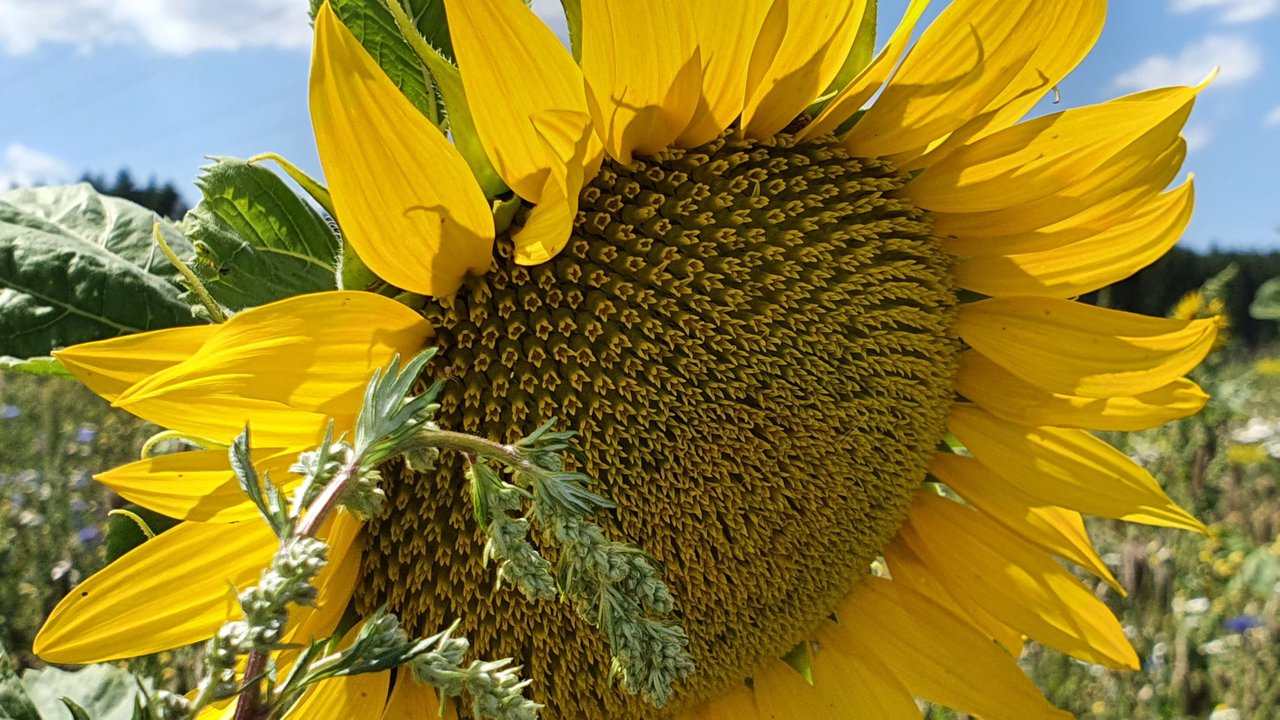 20230718_150832.jpg