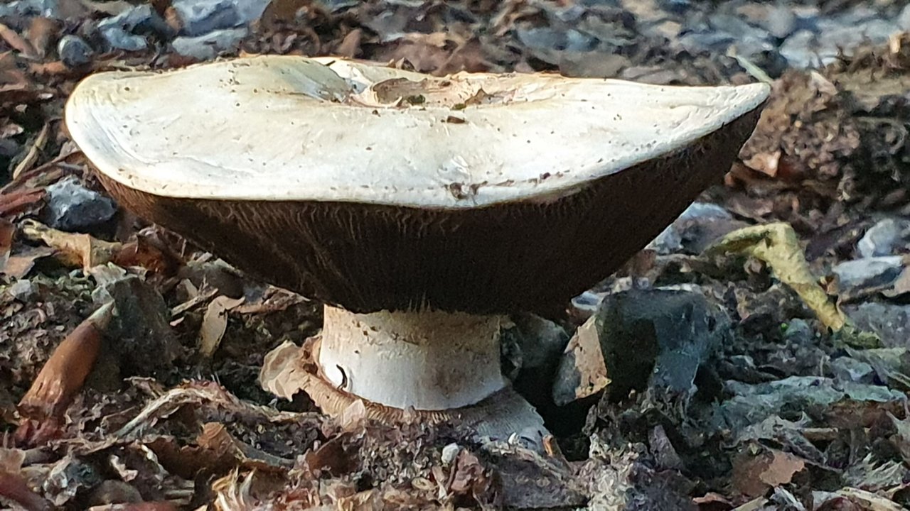 20230707_190644.jpg