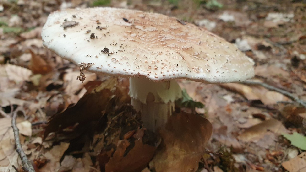 20230715_172503.jpg
