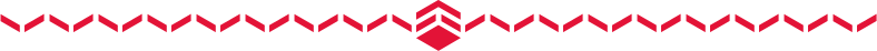 Hive_Logo_Divider(2).png