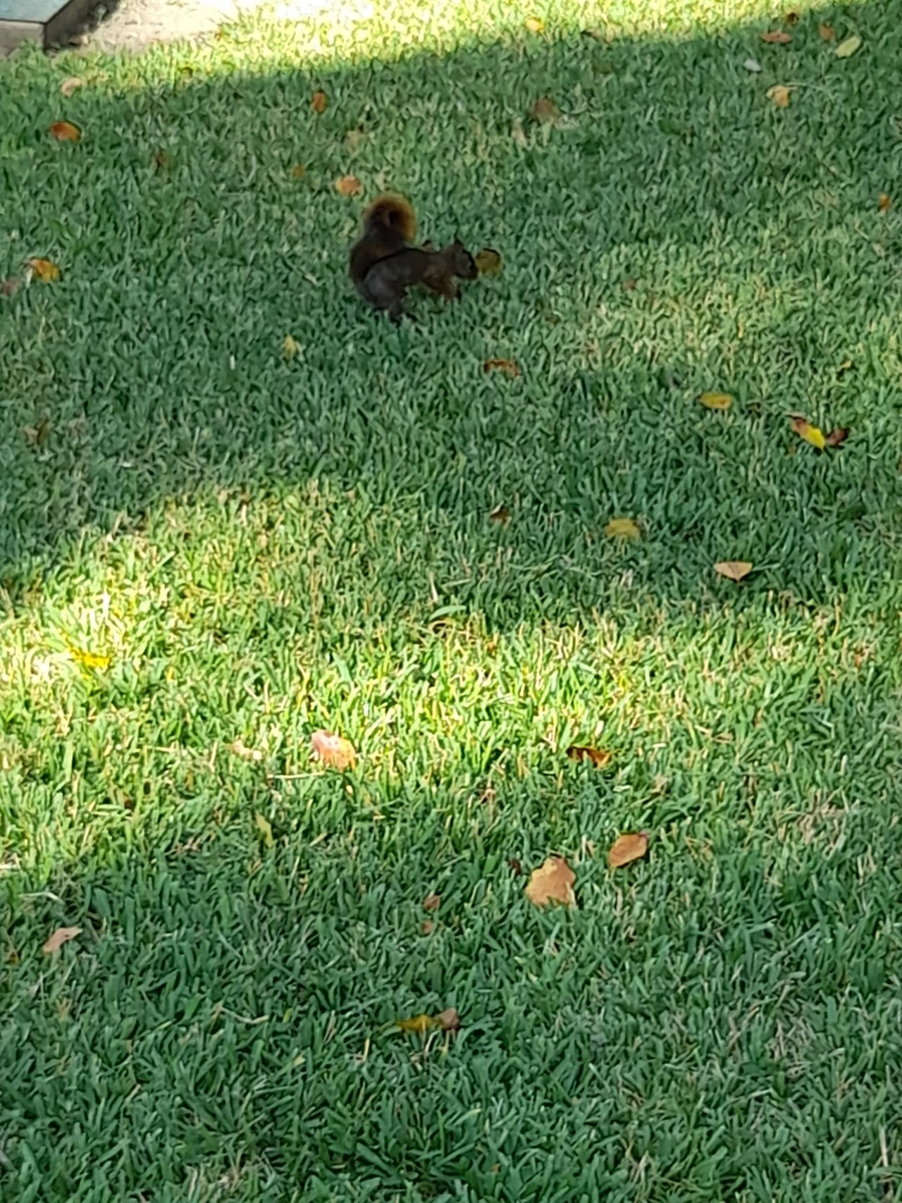 20210914_084250.jpg
