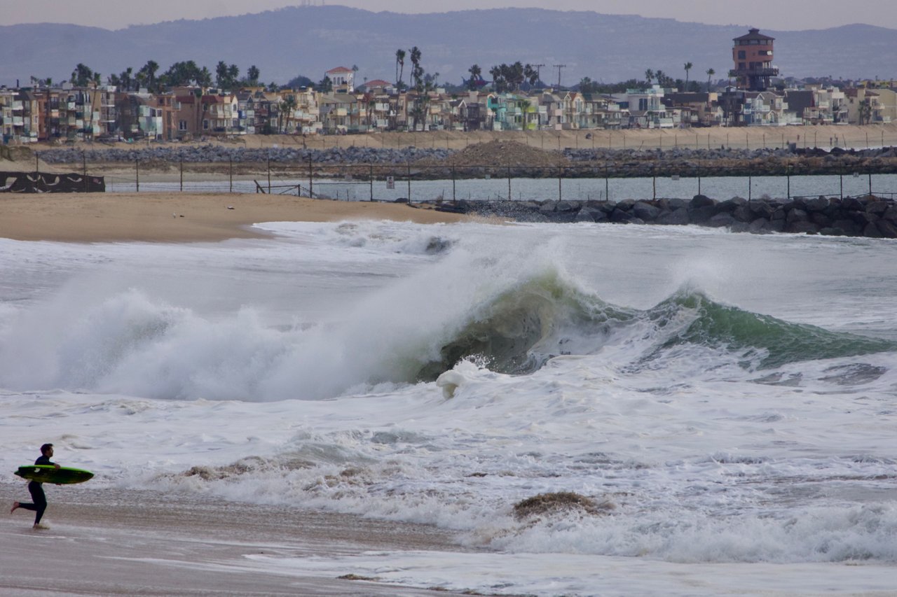 _DSC2520.jpeg