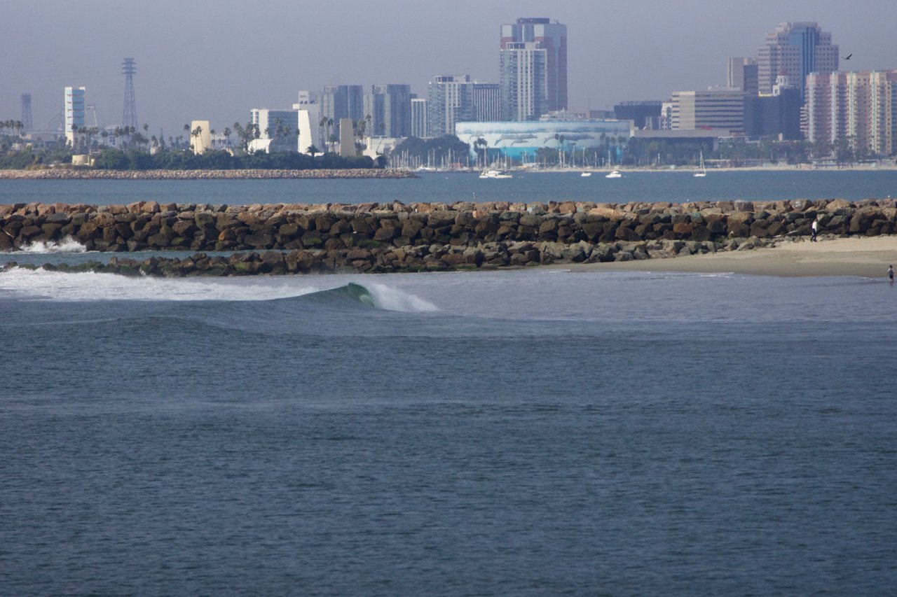 _DSC3075.jpeg