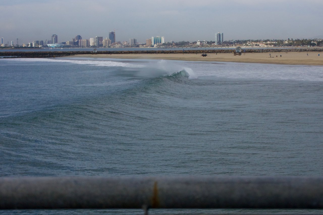 _DSC2726.jpeg
