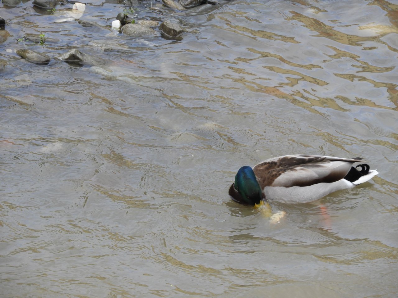 DSCN3670.JPG