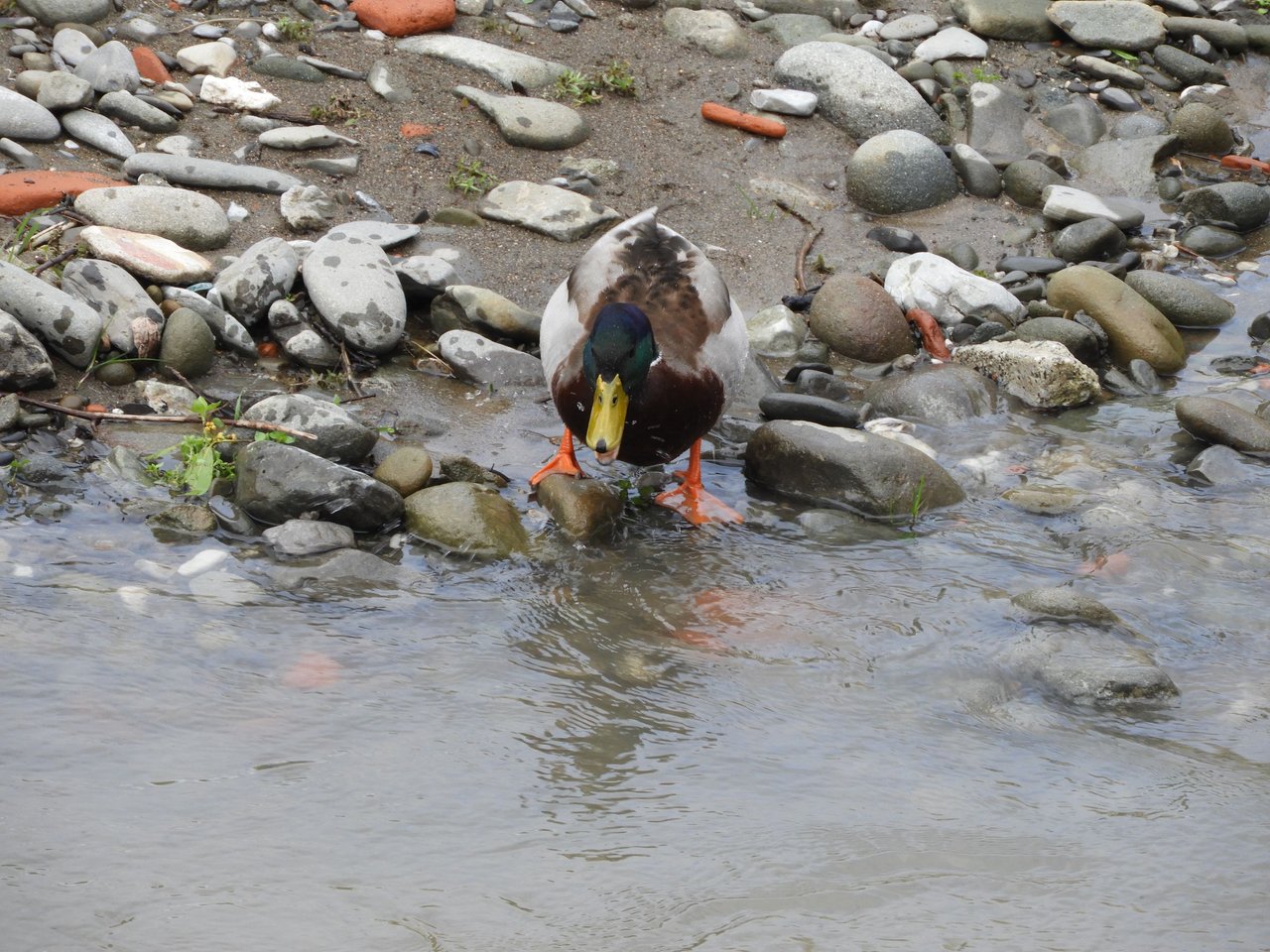 DSCN3668.JPG