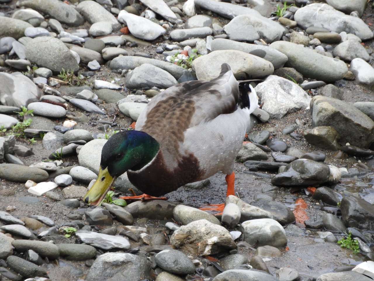 DSCN3677.JPG