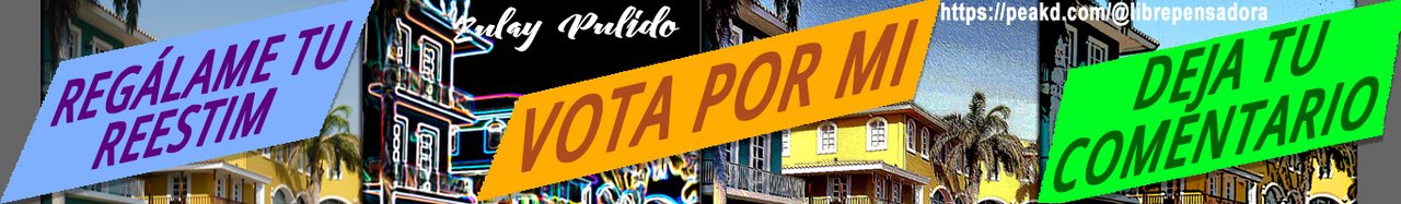 Cintillo_votame_12.jpg