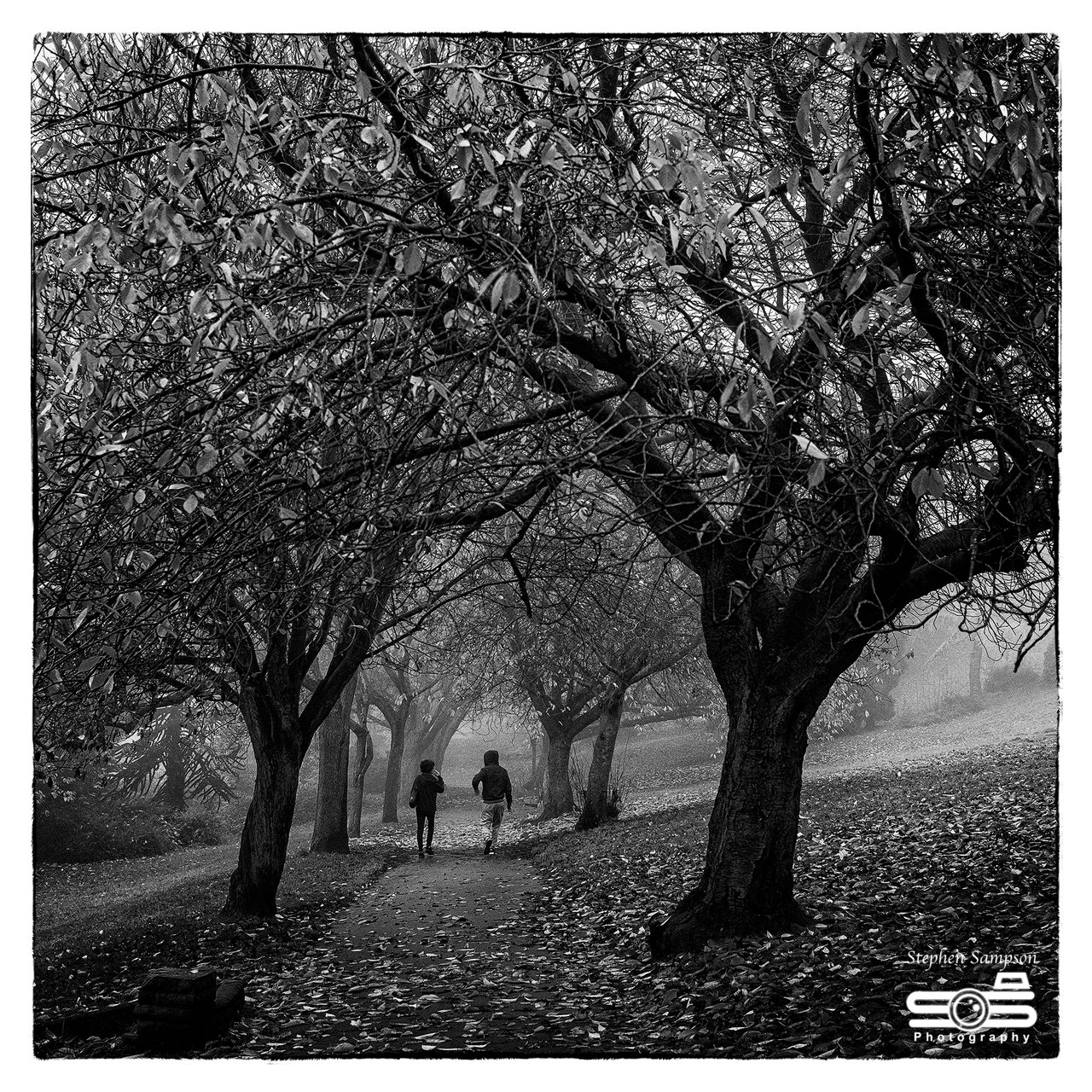 Walk in the park BW.jpg