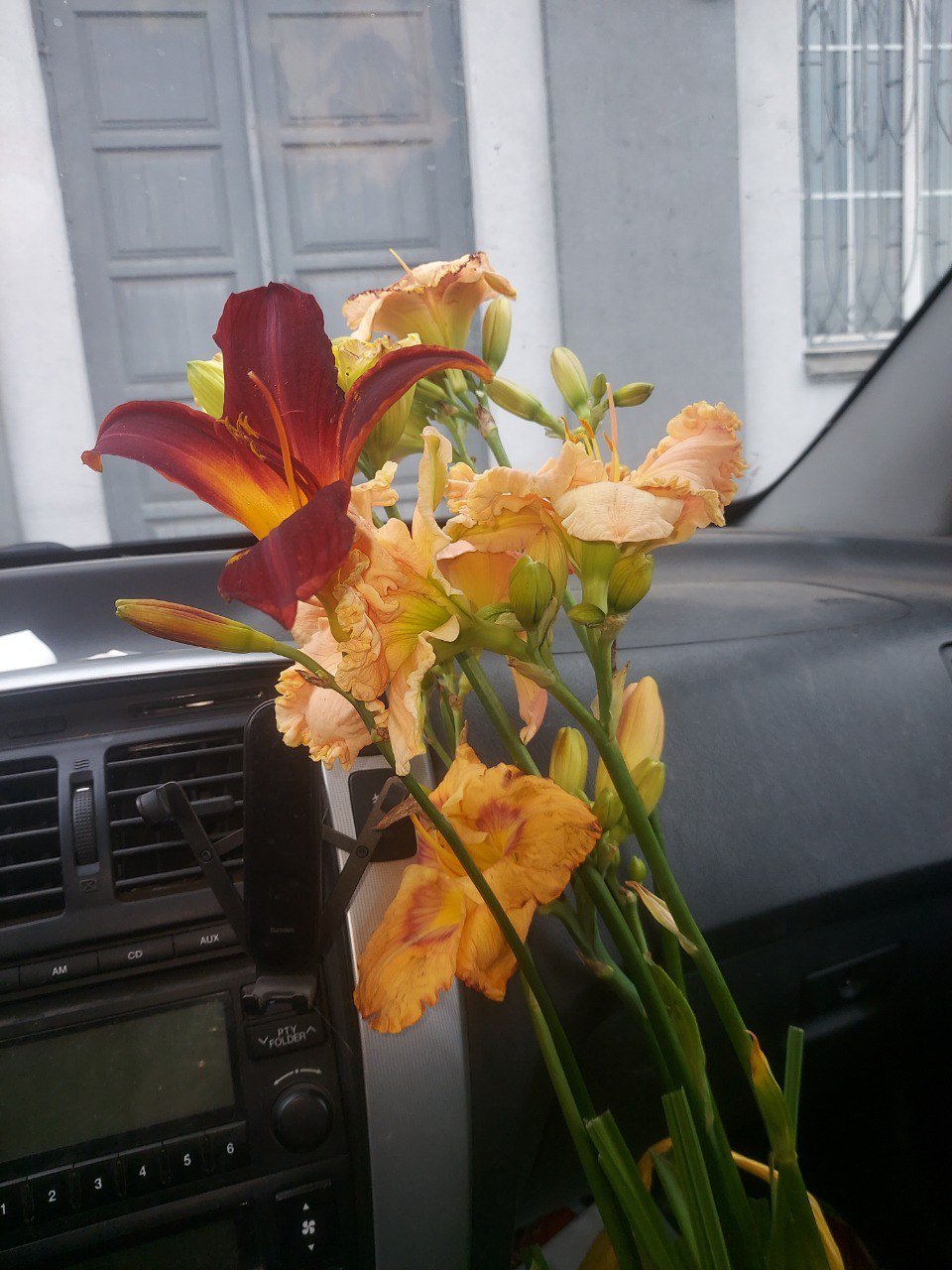 IMG_0245.jpeg