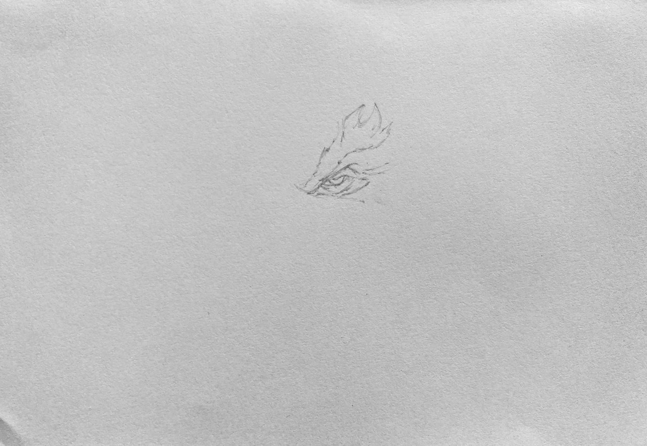 IMG_8293.jpeg