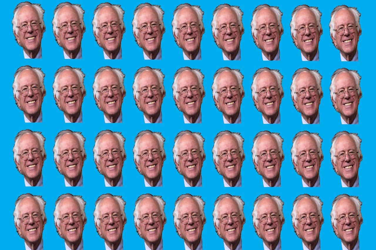 bernie-sanders-1274425_1280.jpg
