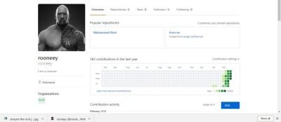 Profil Github.jpg