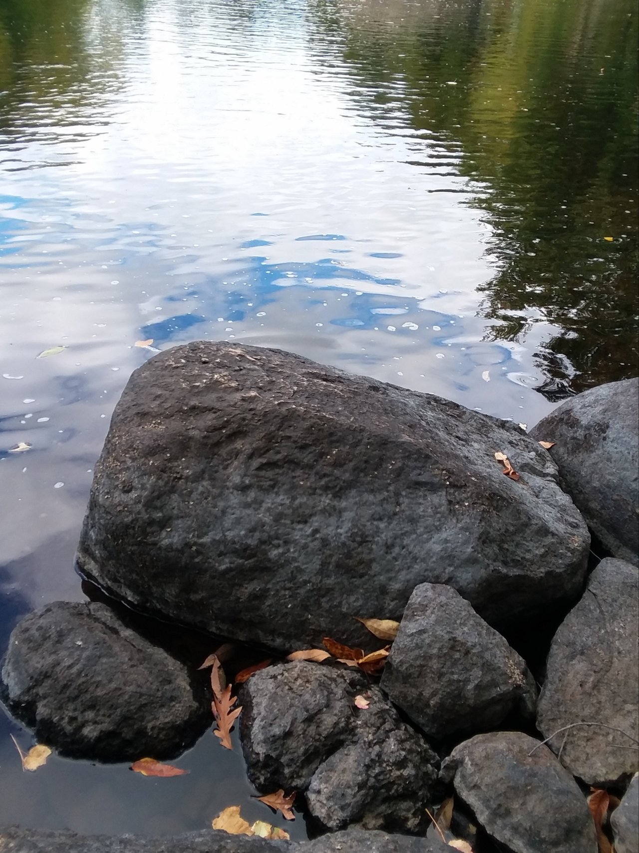 20191109_154836.jpg