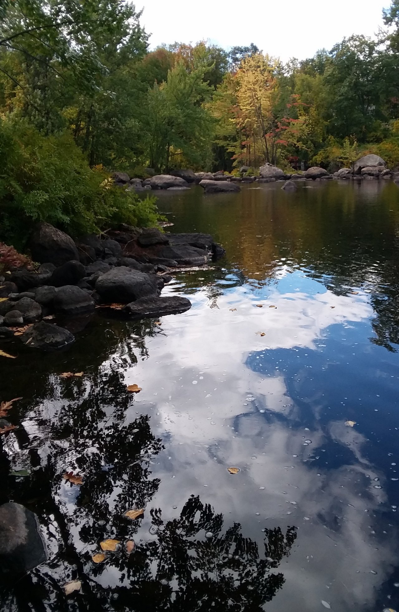 20191109_155528.jpg