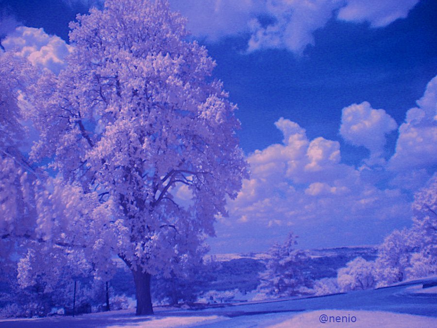 cornell-ir-001-color.JPG