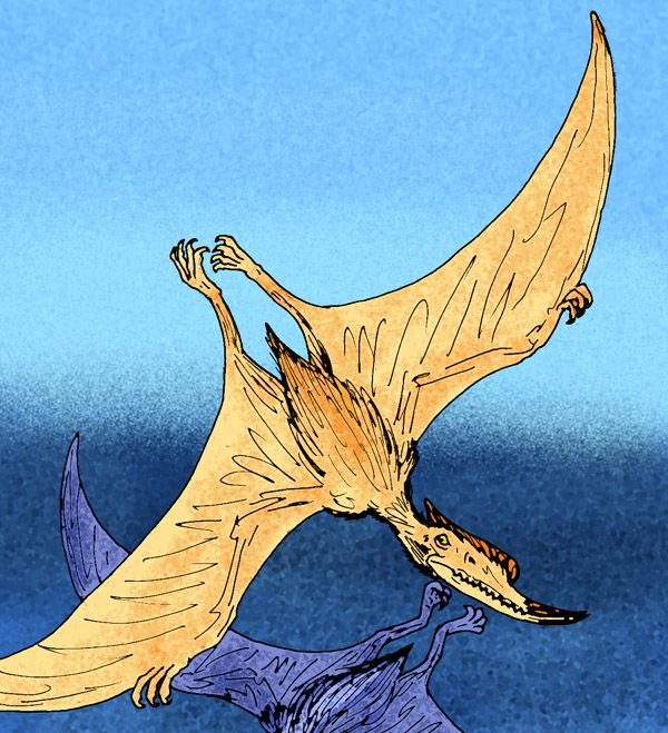 Dsungaripterus_weii.jpg