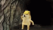 untitled.gif