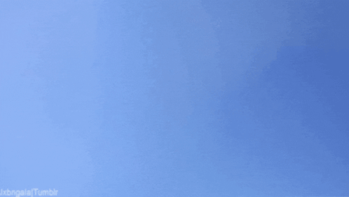 untitled.gif