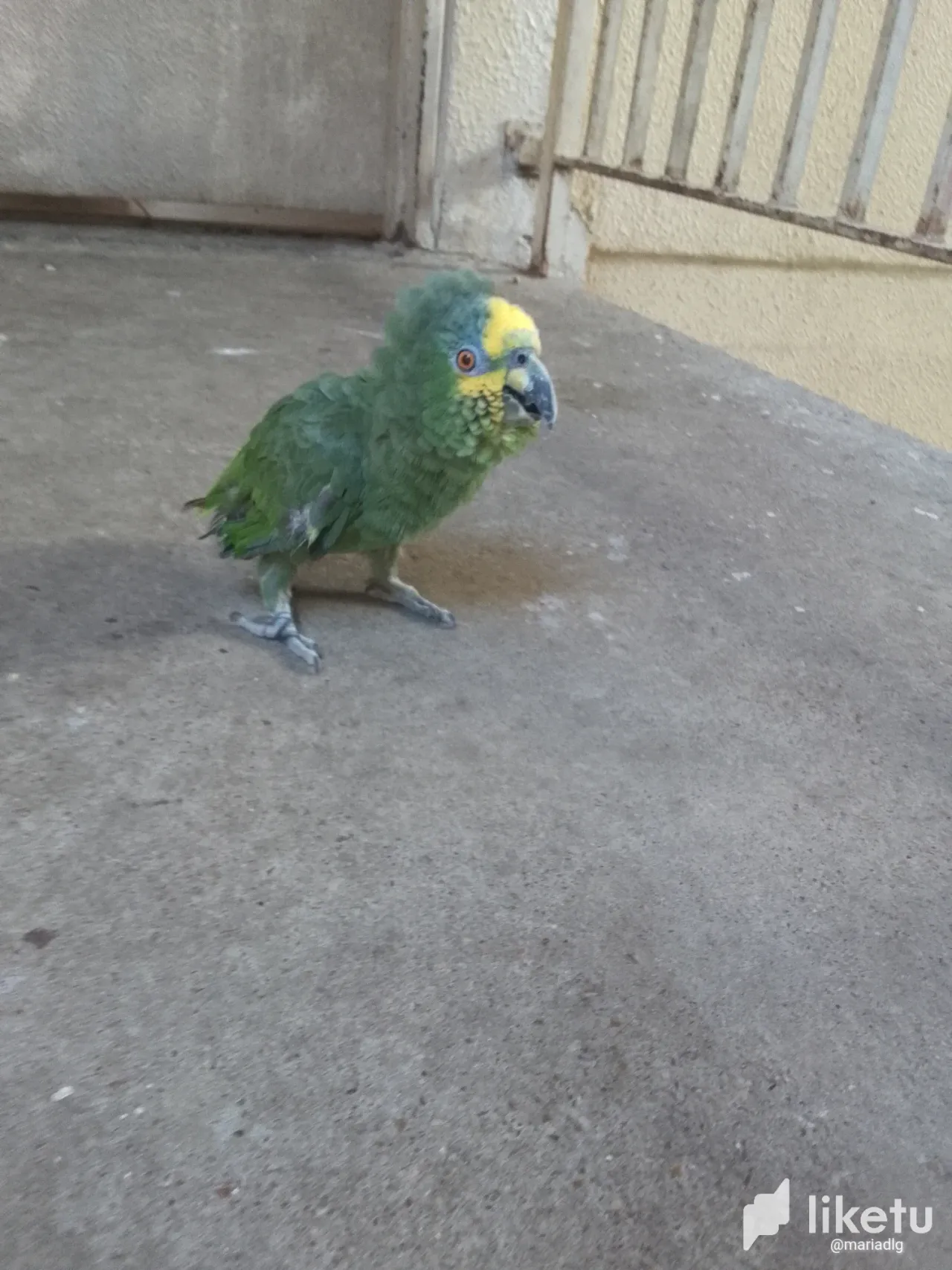 cltrpl7qv000bxksz2r0zh8st_IMG_20240312_095755_984.webp