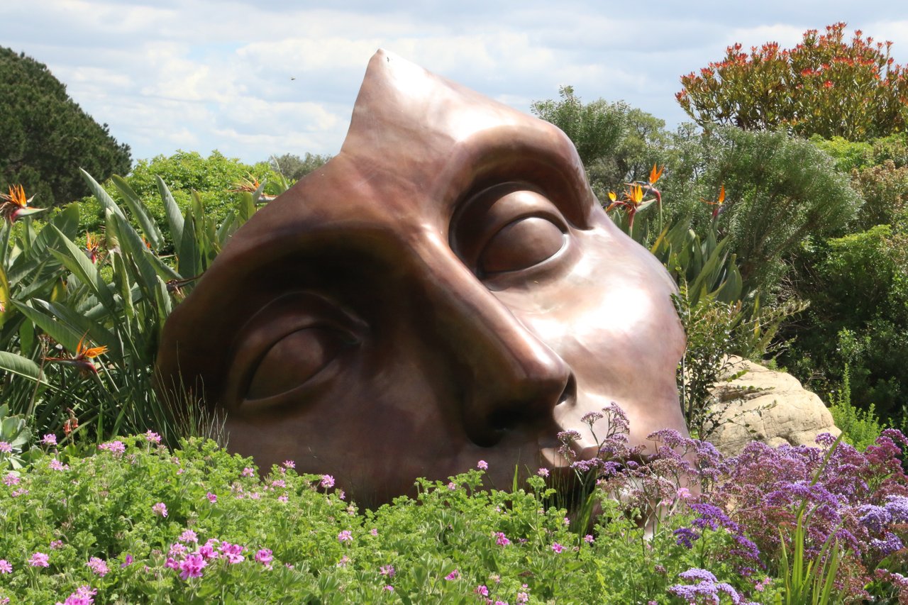 art-beautiful-bloom-613431.jpg