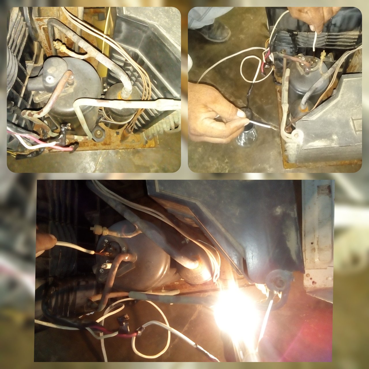 CollageMaker_20211121_162613614.jpg