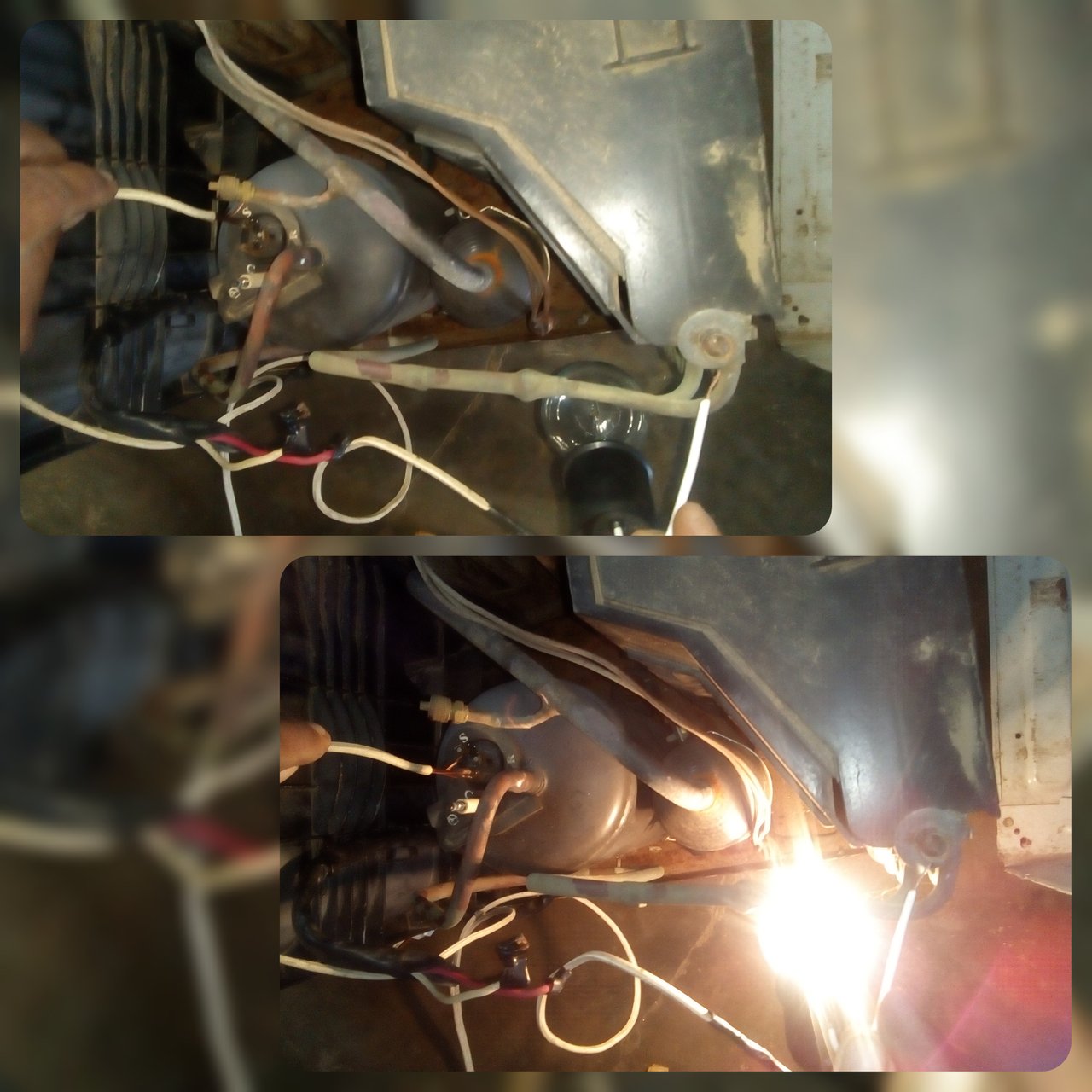 CollageMaker_20211121_163137968.jpg