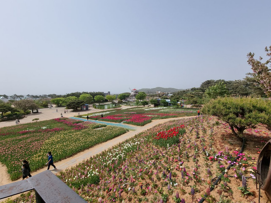 A Day Trip. International Tulip Festival 