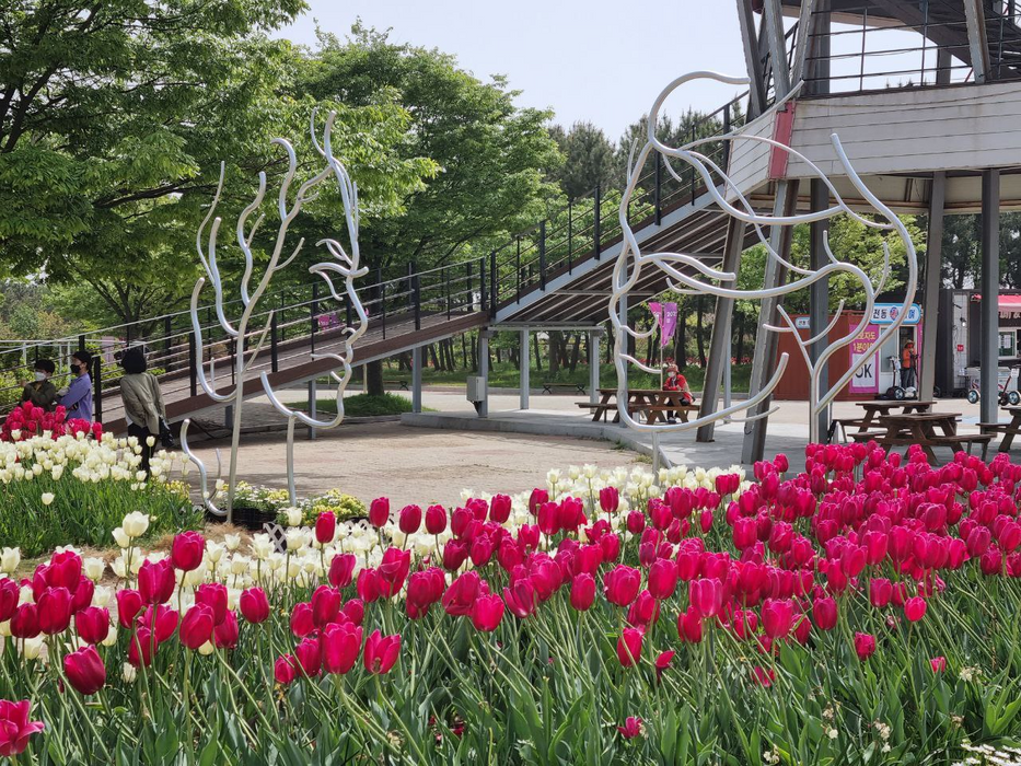 A Day Trip. International Tulip Festival 