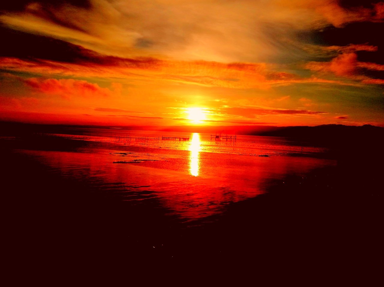 12A7BEDE-28C1-482A-BF21-F157F80670CE.jpeg