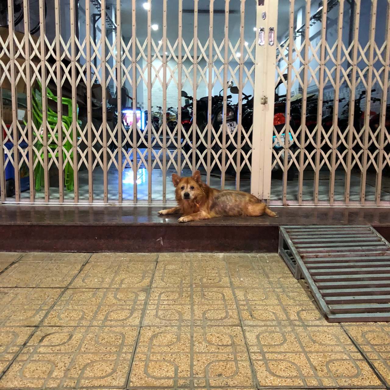 2C2D3906-1BE9-4431-9B61-F0FD1A730B7B.jpeg