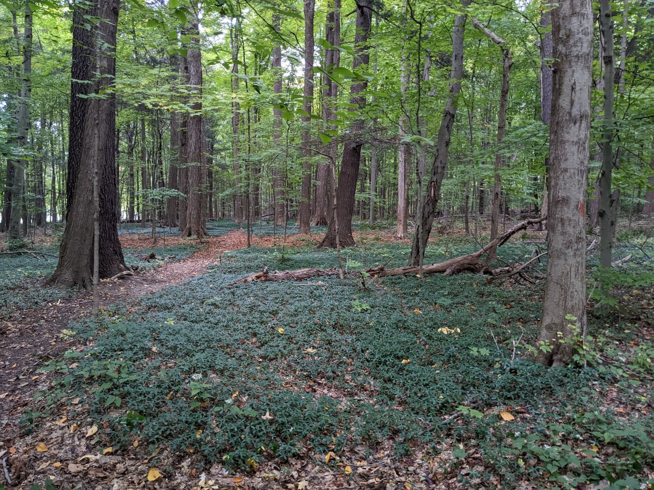 PXL_20221006_210510542.jpg