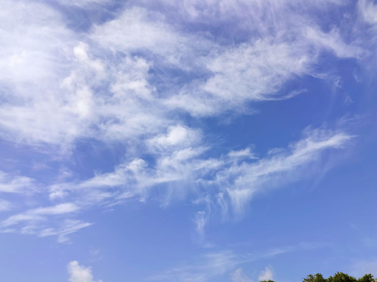 IMG_20250729_205315.jpg
